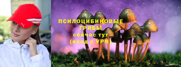 прущие крисы Балахна