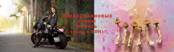 дживик Балабаново