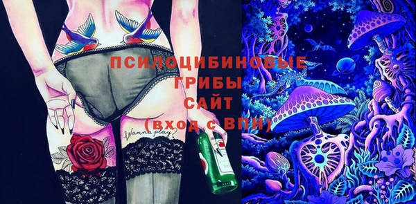 прущие крисы Балахна