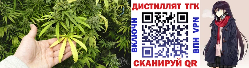 ТГК Wax  Феодосия 