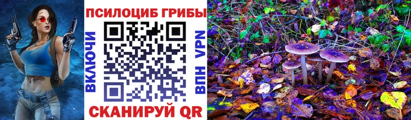 Псилоцибиновые грибы Psilocybe  где можно купить   Феодосия 